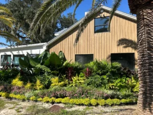 Flowerbeds at The Alice with layered yellow and pink blooms, backed by large green tropical leaves near the venue's exterior.