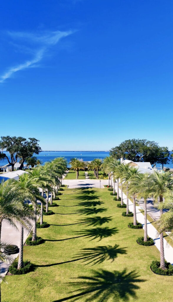 Palm-lined walkway leading to the bay at The Alice Marina, framed by clear blue skies and waterfront views in Destin, Florida.